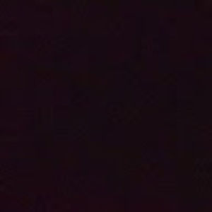 Meet your Posher, Logan